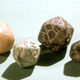 Four well-worn, multi-sided die sit next to each other on a white table.